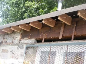 The City of New Rochelle - Flowers Park photo 20