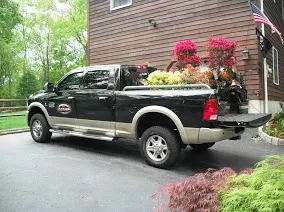 Landscaping Service photo 16