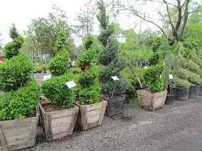 Landscaping Service photo 4