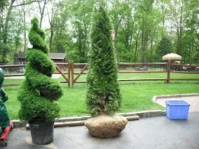 Landscaping Service photo 17